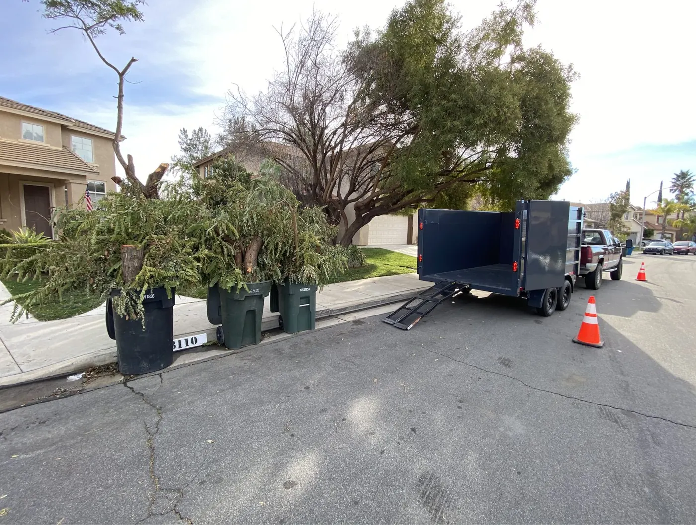 Tree trimmings loaded at the curb